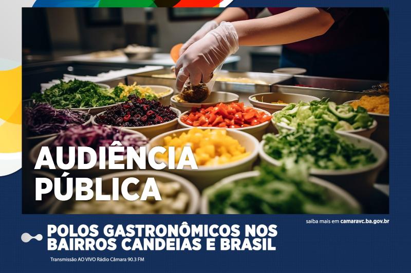Imagem Câmara Municipal debate polos gastronômicos de Vitória da Conquista