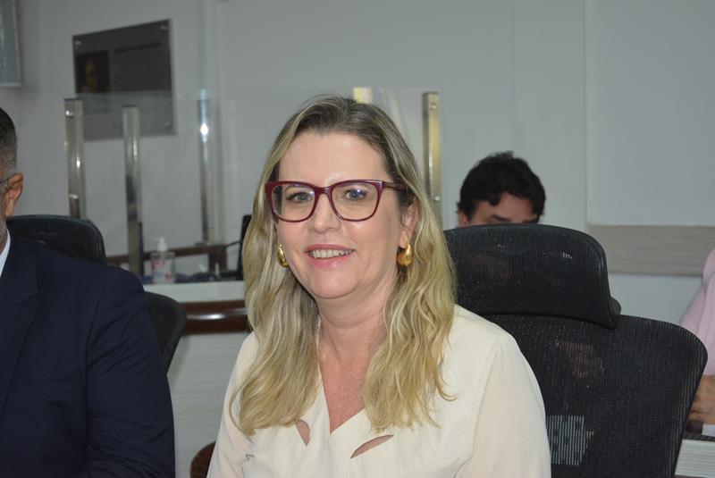 Imagem Viviane defende o fortalecimento da Câmara Municipal