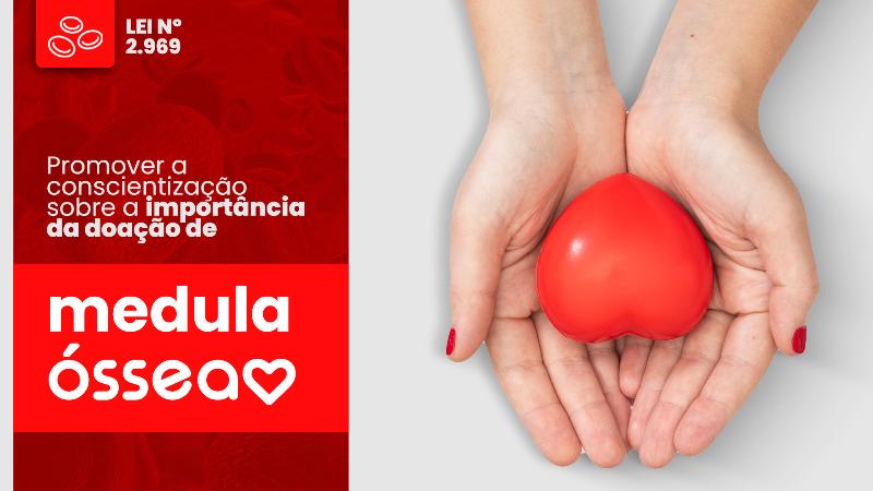 Imagem Lei pretende fortalecer rede de doadores de sangue e de medula óssea em Conquista