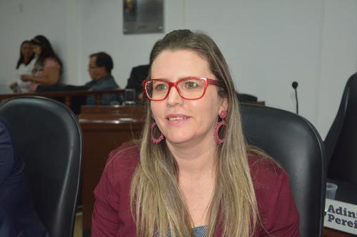 Imagem “Bancada de Oposição é porta-voz da população contra as mazelas do Governo”, diz Viviane