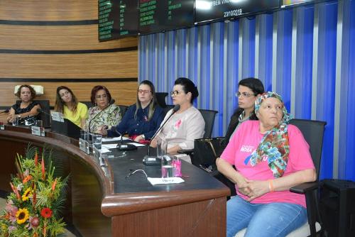 Imagem Sessão Especial debate prevenção ao câncer de mama em apoio ao Outubro Rosa
