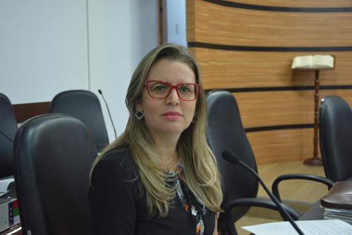 Imagem Viviane destaca ações da Comissão de Saúde da Câmara Municipal